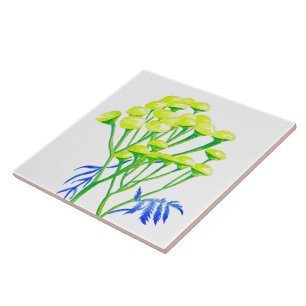 Carreau Tansy sur un carrelage en céramique