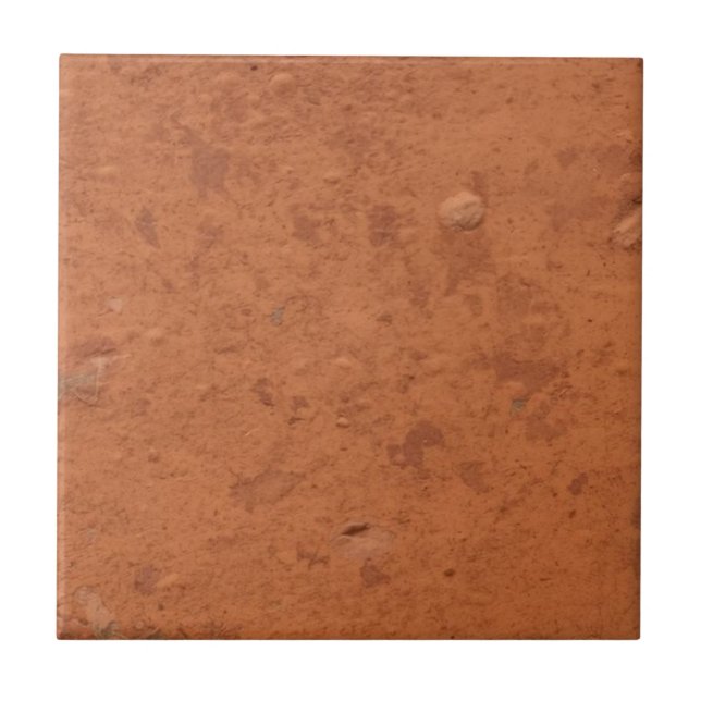Carreau Terre cuite rouge simple rustique  (Devant)