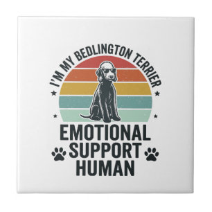 Carreau Terrier Bedlington Soutien Émotionnel Humain Vinta