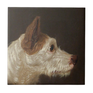 Carreau Terrier Dog's Head (par James Ward)