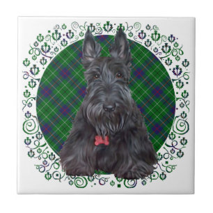 Carreau Terrier Écossais sur Tartan