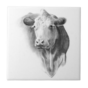 Carreau Tête de vache au crayon : Art de réalisme : Ferm