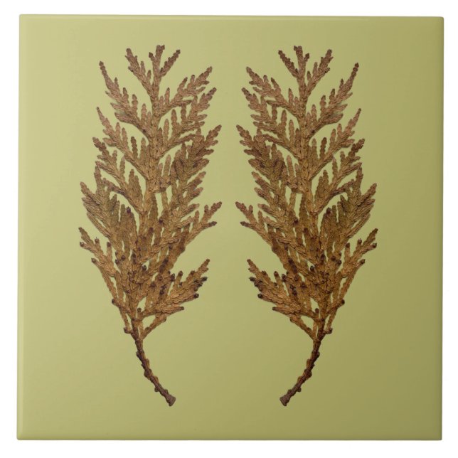 Carreau Textural Treasures of Winter on Ceramic Tile - D3 (Devant)