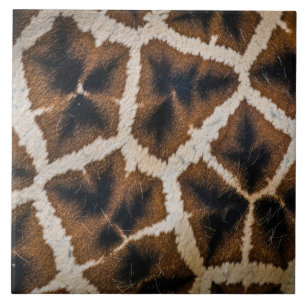 Carreau texture de peau de girafe animal sauvage cuir patt