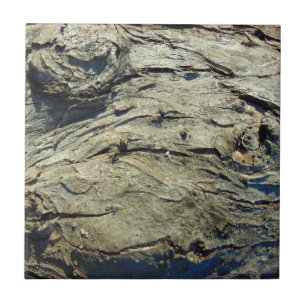 Carreau Texture d'écorce de pommier
