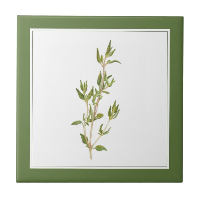 Carreau THYME FRAIS 4.25x4.25 Carrelage en céramique (text (Devant)