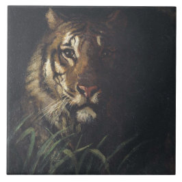Carreau Tiger's Head (par Abott Handerson Thayer)