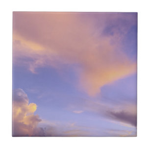 CARREAU TILE/TRIVET "PEINTED SKY"