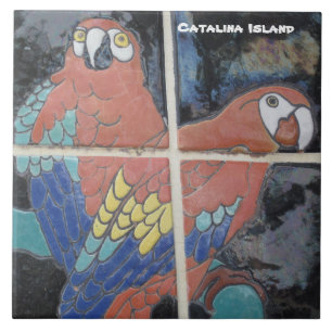 CARREAU TITRE CÉRAMIQUE DE L'ÎLE CATALINA