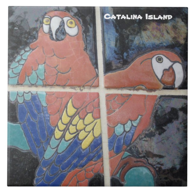 CARREAU TITRE CÉRAMIQUE DE L'ÎLE CATALINA (Devant)
