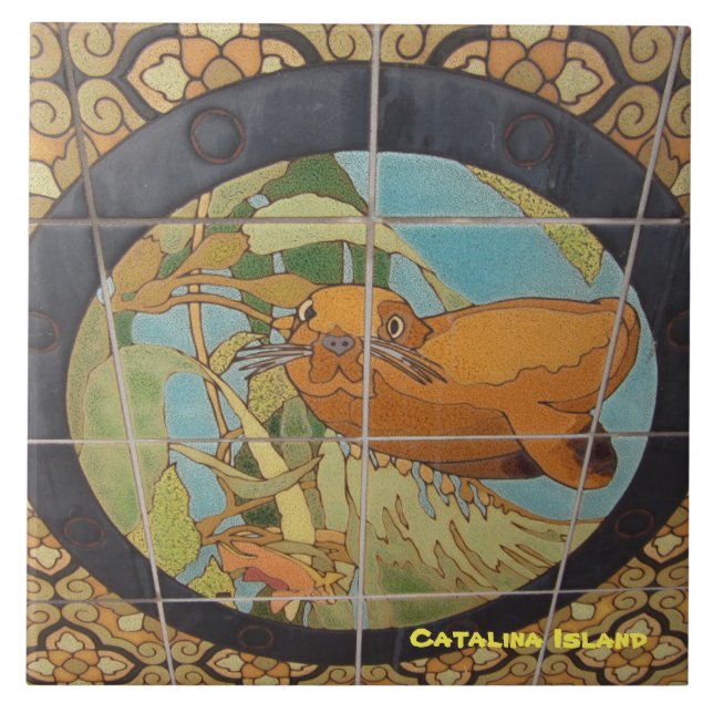 CARREAU TITRE CÉRAMIQUE DE L'ÎLE CATALINA (Devant)