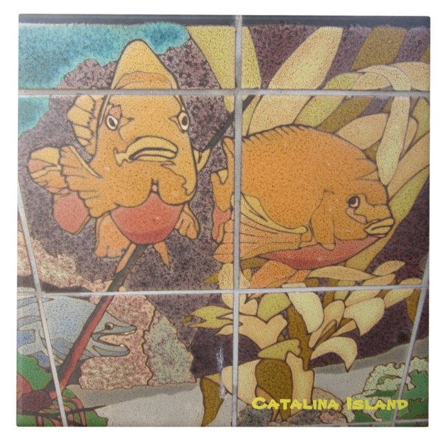 CARREAU TITRE CÉRAMIQUE DE L'ÎLE CATALINA (Devant)
