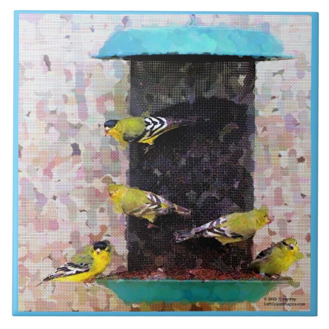 CARREAU TITRE GOLDFINCH AMÉRICAIN (Devant)