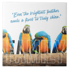 Carreau "Together We Shine"