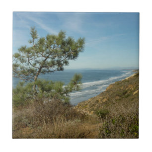 Carreau Torrey Pine and California Coastline Landscape