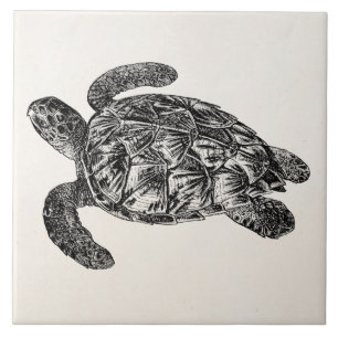 Carreau Tortue de mer imbriquée par cru - modèle de