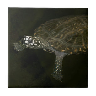 Carreau Tortue de natation