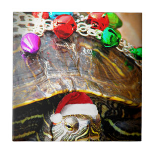 Carreau Tortue de Noël
