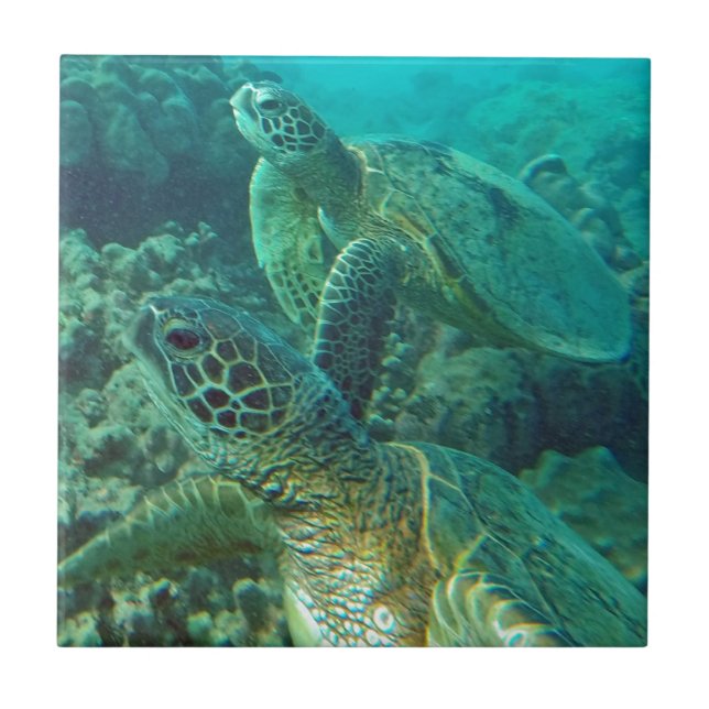 Carreau Tortues de mer vertes d'Hawaii (Devant)