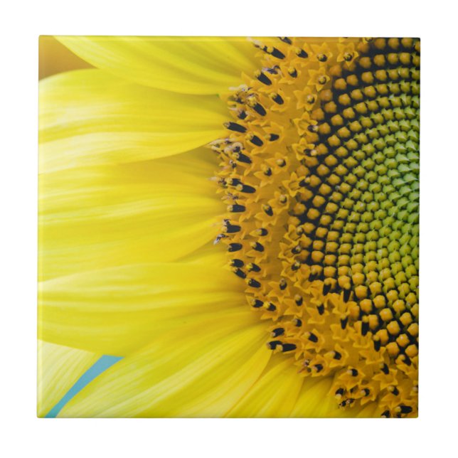 Carreau Tournesol lumineux (Devant)