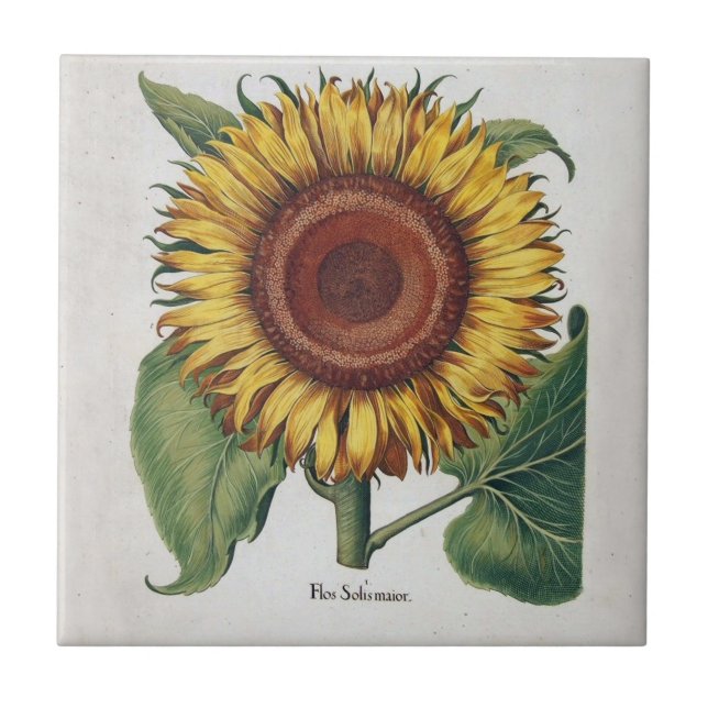 Carreau Tournesol Vintage Damas Fleur Art (Devant)