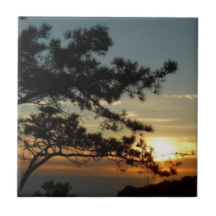 Carreau Tourrey Pine Sunset I California Paysage