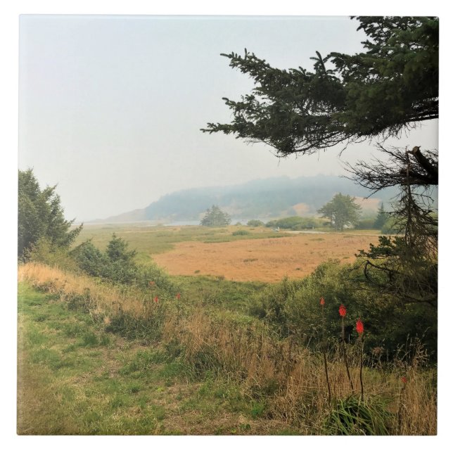 Carreau Trail at Cape Blanco (Devant)