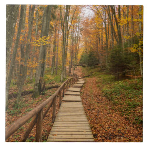 Carreau Traverser la forêt d'automne.