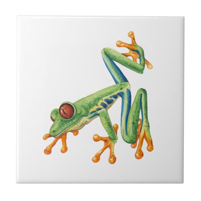 Carreau Tree frog (Devant)