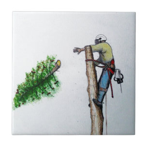 Carreau Tree Surgeon Arborist at work present