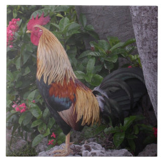 Carreau Trépied flamboyant de coq