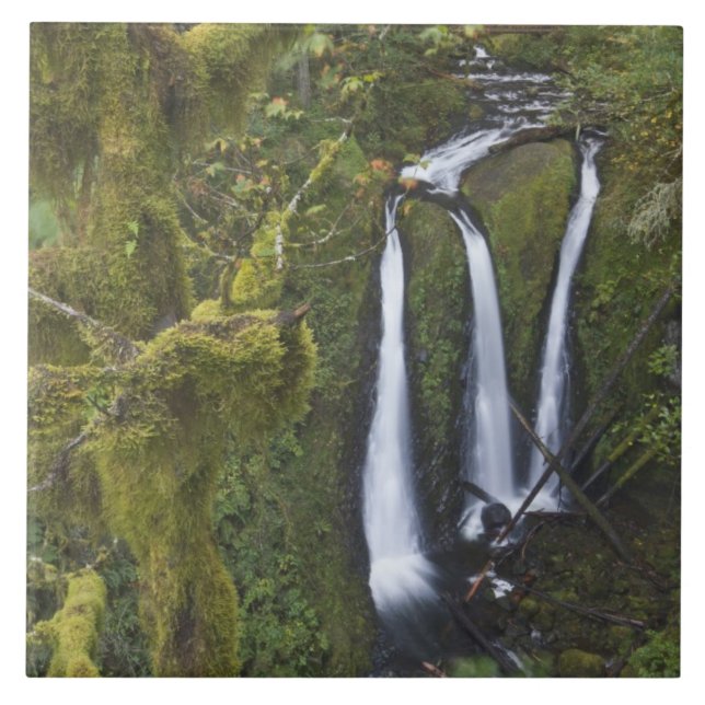 Carreau Triple Falls, Columbia River Gorge (Devant)