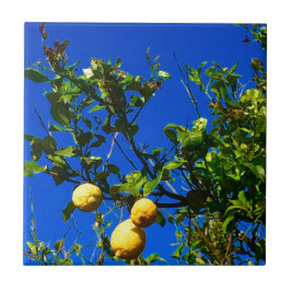 Carreau Trois citrons siciliens