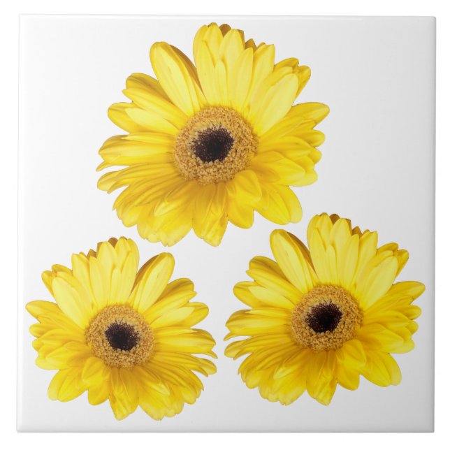 Carreau Trois photos décoratives de la marguerite jaune de (Devant)