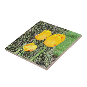 Carreau Trois Tulipes Jaunes /