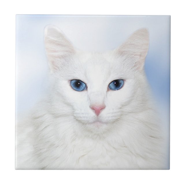 Carreau Tuile blanche de visage de chat (Devant)