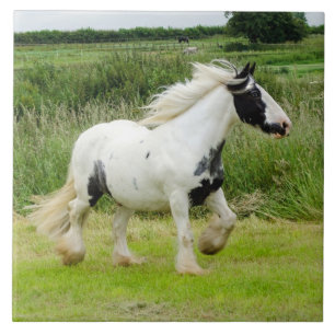 Carreau Tuile courante de cheval de peinture de Shire