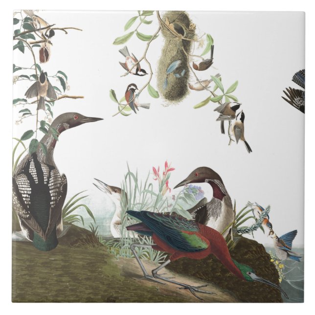 Carreau Tuile d'animaux de faune d'oiseaux de collage (Devant)