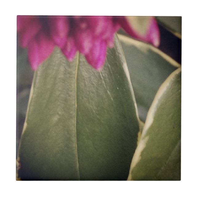 Carreau Tuile Daphne de Flora (Devant)