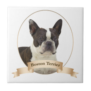 Carreau Tuile de Boston Terrier