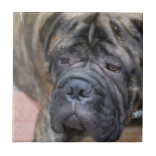 Carreau Tuile de Bullmastiff