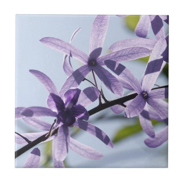 Carreau Tuile de céramique à fleurs violettes (Devant)