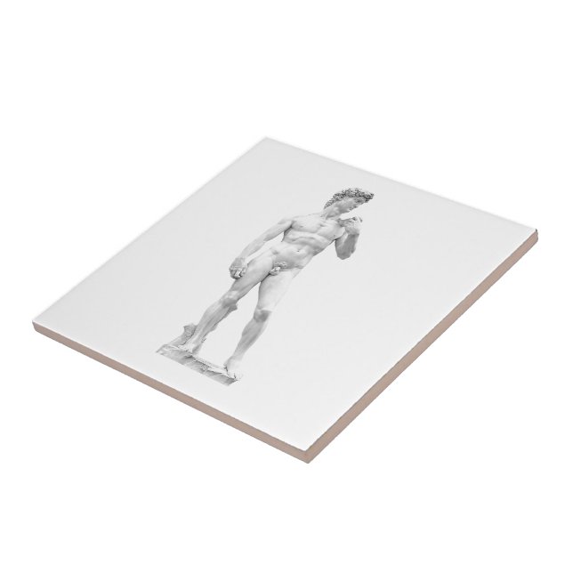 Carreau Tuile de David (Côté)