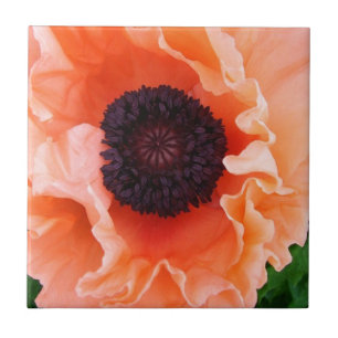 Carreau Tuile de fleur de pavot