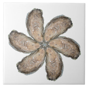 Carreau Tuile de fleur d'huître - blanc de la conception D