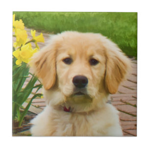 Carreau Tuile de golden retriever
