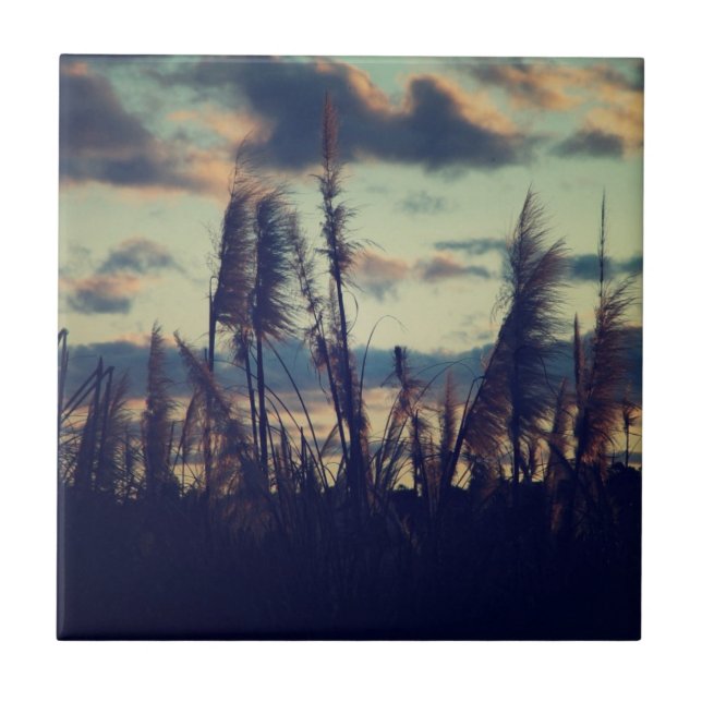 Carreau Tuile de nature de coucher du soleil (Devant)