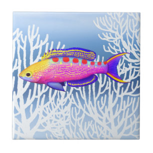 Carreau Tuile de poissons de récif d'Anthias repérée par
