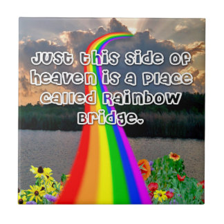 Carreau Tuile de pont en arc-en-ciel