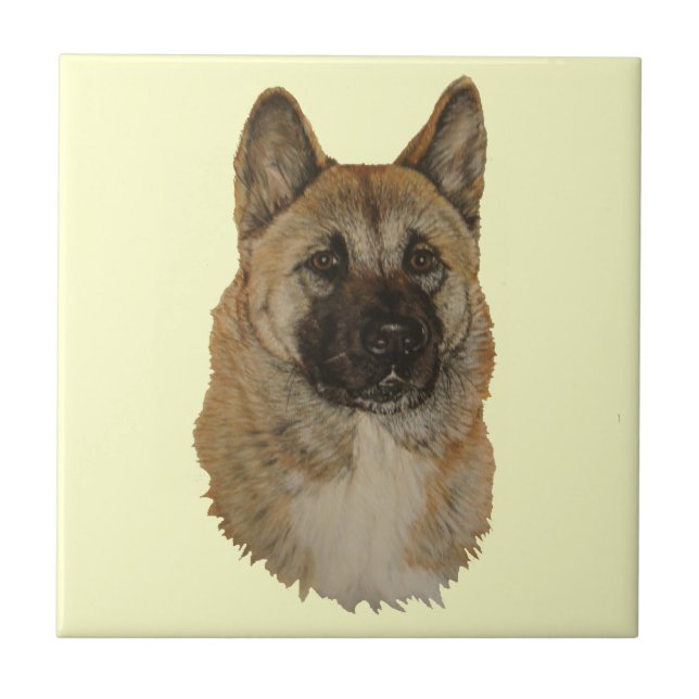 Carreau Tuile de portraits de chiens akita japonais/améric (Devant)